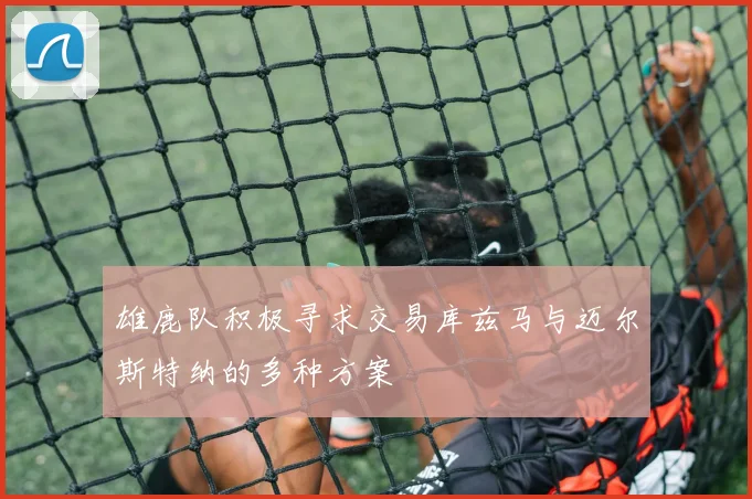 雄鹿队积极寻求交易库兹马与迈尔斯特纳的多种方案